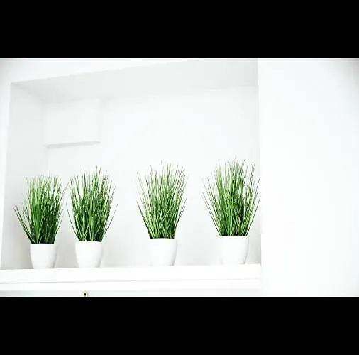 Accomodation1 * בראשוב